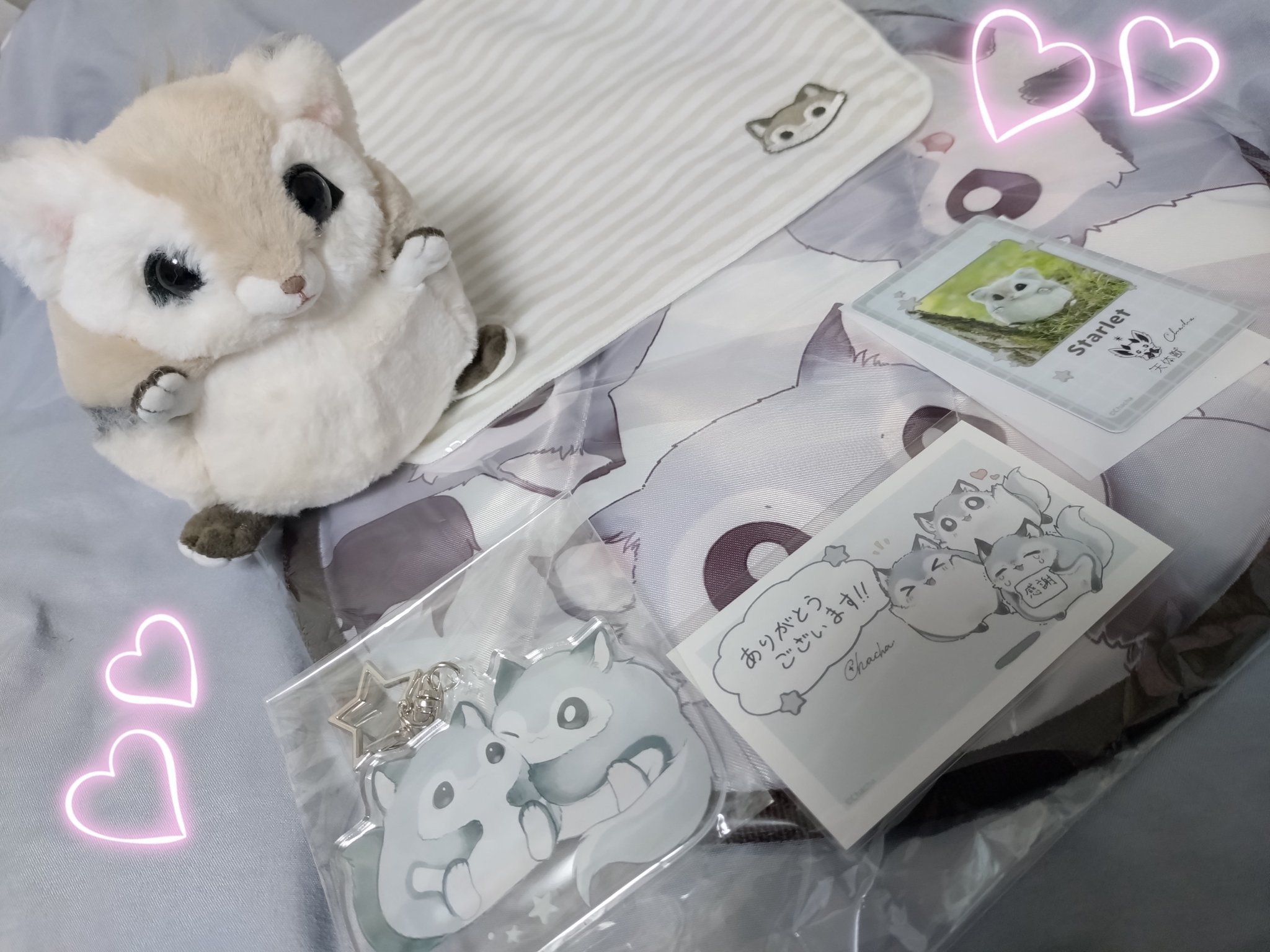 「モ」と暮らそう★ぬいぐるみプロジェクト クラファン 返礼品 モ」と暮らそう☆ぬいぐるみプロジェクト クラファン 返礼品