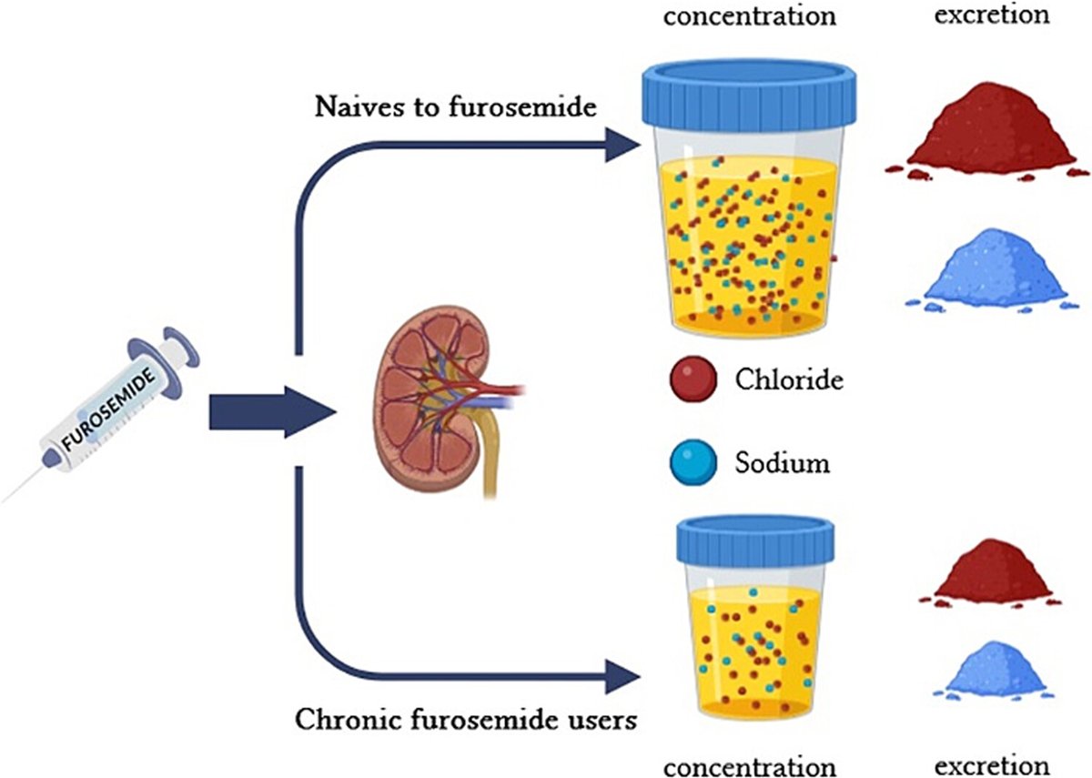 European Society of Cardiology Journals (@esc_journals) on Twitter photo Check out the role of urine chloride in diuretic response in acute heart failure 👉 bit.ly/4es899C
<a href="/EJHFEiC/">EJHF Editor-in-Chief</a> <a href="/JanBiegus/">Jan Biegus</a> @Ppponikowski #HFA_ESC <a href="/hvanspall/">Harriette Van Spall, MD MPH 🇨🇦</a> <a href="/ShelleyZieroth/">Shelley Zieroth</a> <a href="/FudimMarat/">Marat Fudim, MD MHS</a> <a href="/gcfmd/">Gregg Fonarow MD</a> <a href="/AlexMebazaa/">Alexandre Mebazaa</a> <a href="/jozinetm/">Jozine ter Maaten</a> <a href="/MarcoMetra/">Marco Metra</a> Check out the role of urine chloride in diuretic response in acute heart failure 👉 bit.ly/4es899C
<a href="/EJHFEiC/">EJHF Editor-in-Chief</a> <a href="/JanBiegus/">Jan Biegus</a> @Ppponikowski #HFA_ESC <a href="/hvanspall/">Harriette Van Spall, MD MPH 🇨🇦</a> <a href="/ShelleyZieroth/">Shelley Zieroth</a> <a href="/FudimMarat/">Marat Fudim, MD MHS</a> <a href="/gcfmd/">Gregg Fonarow MD</a> <a href="/AlexMebazaa/">Alexandre Mebazaa</a> <a href="/jozinetm/">Jozine ter Maaten</a> <a href="/MarcoMetra/">Marco Metra</a>