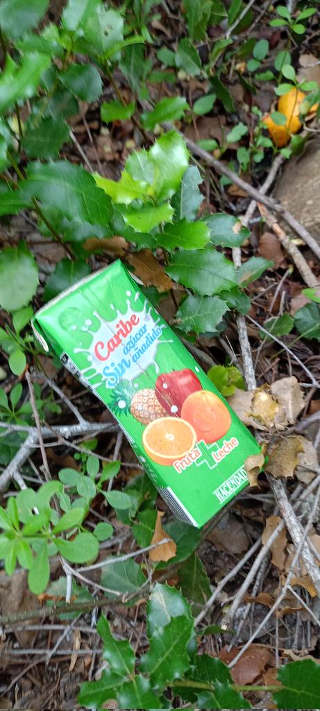 JoseLuisSTAP's tweet image. Molt enfadats ara amb @Mercadona i #JoanRoig per la insensibilitat amb treballadors i treballadores durant la #DANA, però cada dia s'apropia en plà prepotent i abusador de les ciutats.

Tampoc és fa responsable dels #envasos que produeix (com diu la Llei) i acaben a la #natura.