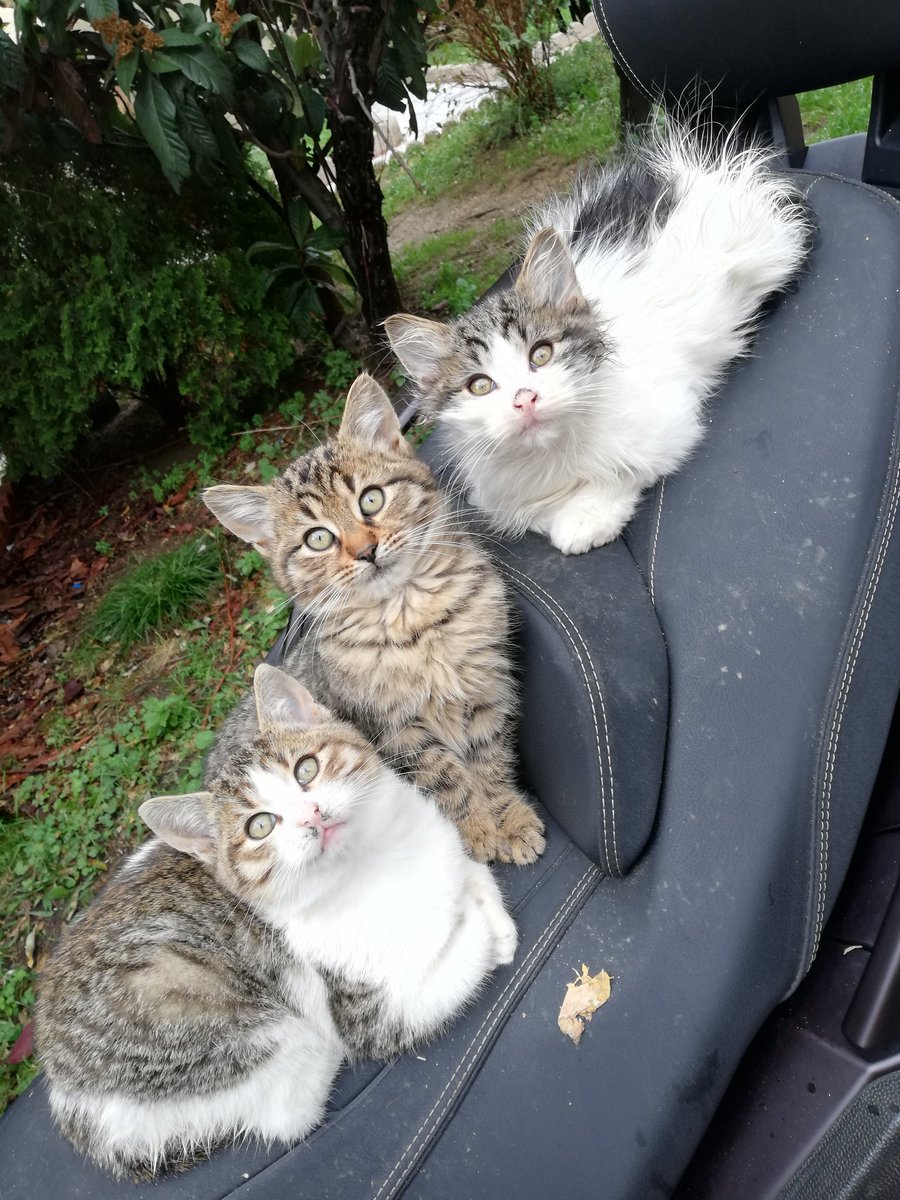 3 güzellikten herkese selam😊