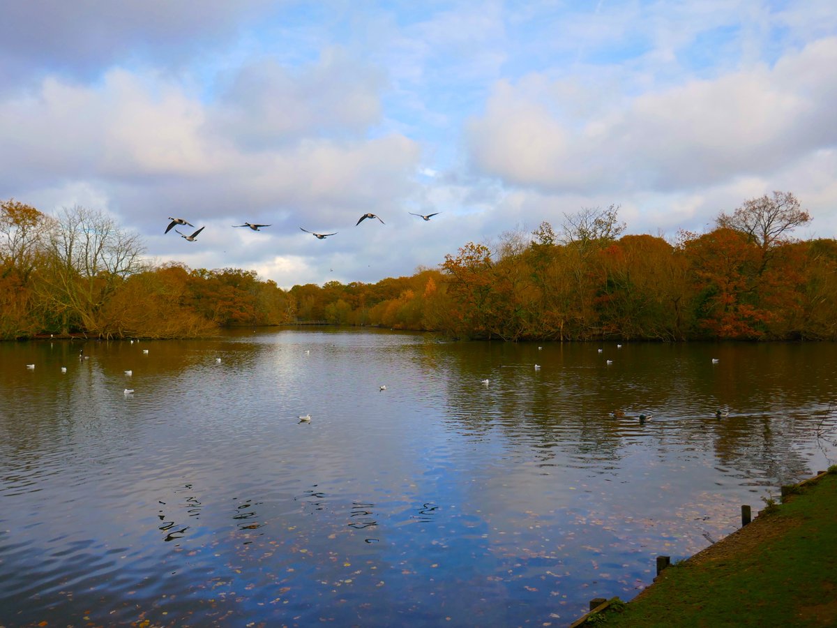 Phoebe Taplin tweet media