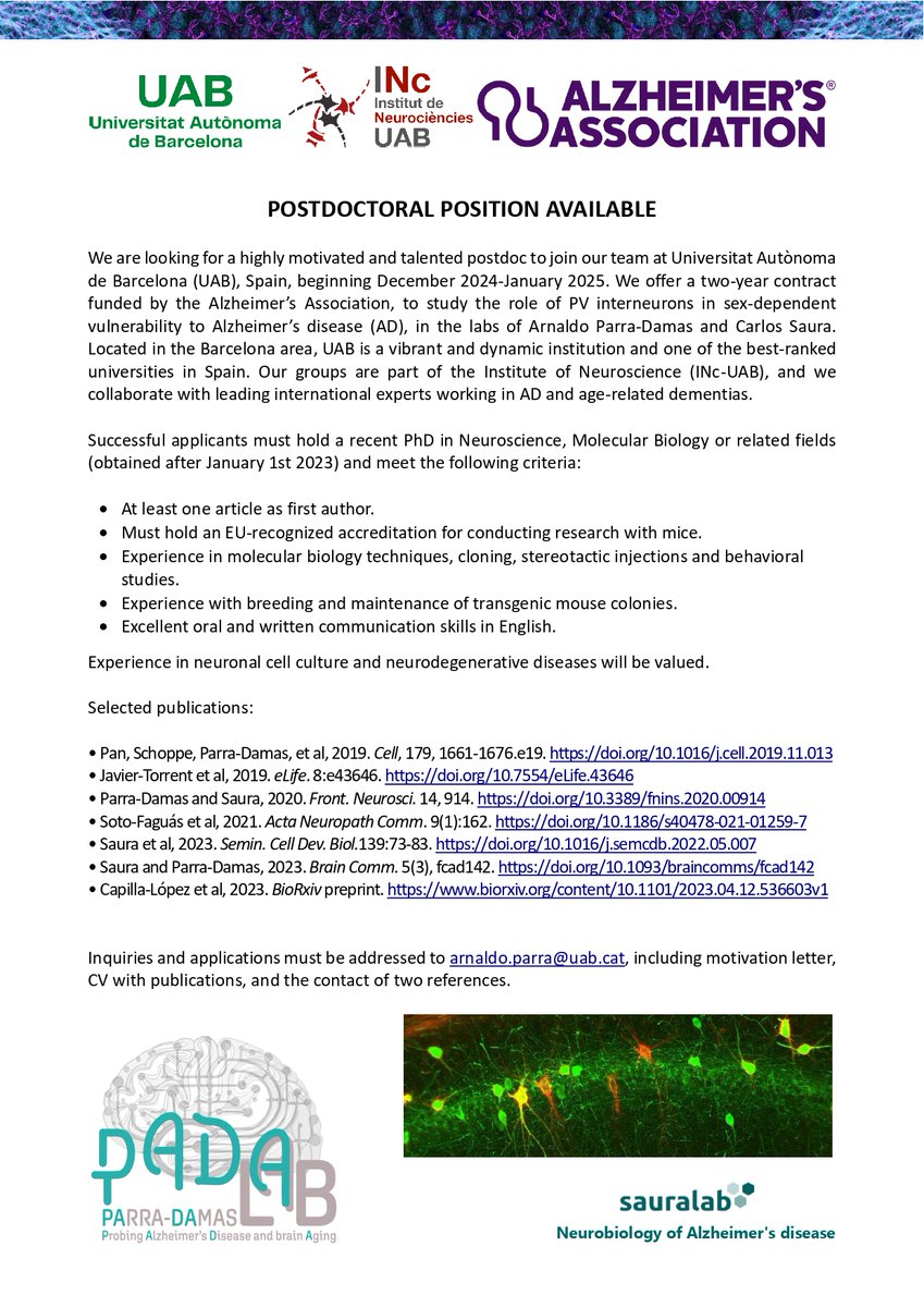 INC_UAB's tweet photo. Drs Parra-Damas and @CarlesSaura are looking for a highly motivated and talented postdoc to join their team at our Institute, studying the role of PV interneurons in sex-dependent vulnerability to Alzheimer’s disease: https://t.co/a4WKPqiFLR