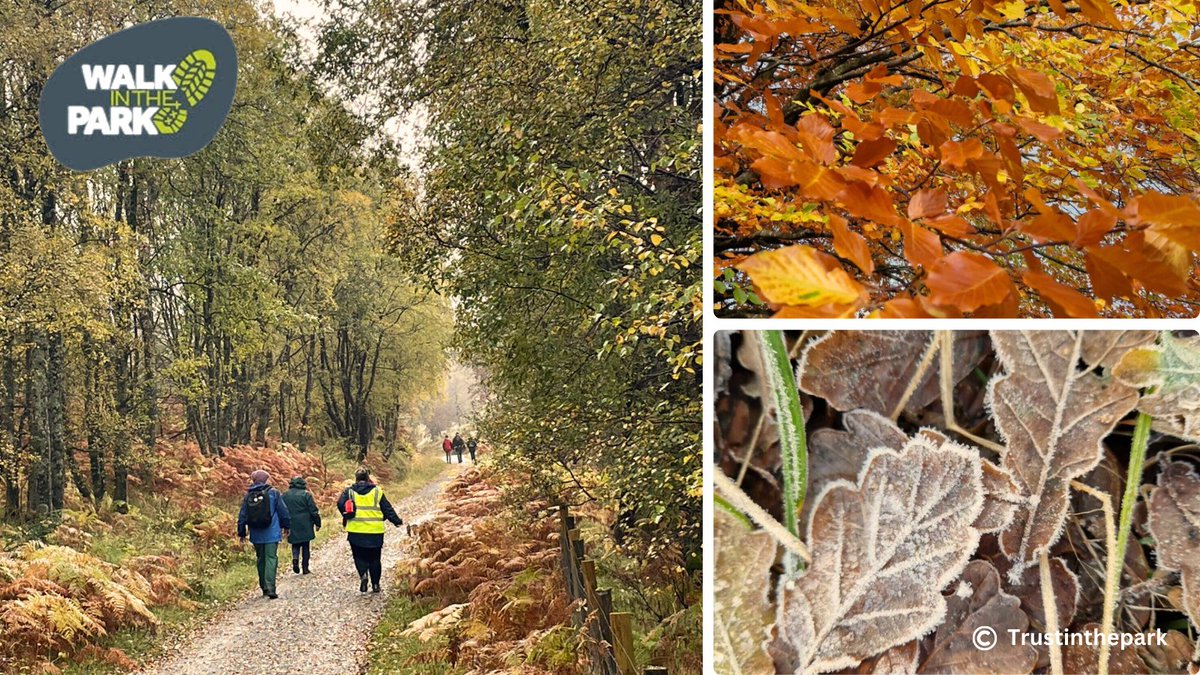 Countryside Trust (@trustinthepark) on Twitter photo 🚶 Who doesn't love walking amongst the colours of Autumn?
Join us next week, 1020am Monday to Thursday for our FREE volunteer-led #healthwalks.
⏬trustinthepark.org/walk-in-the-pa…
🙏@PathsforAll <a href="/Impact_Funding/">Impact Funding Partners</a> <a href="/agescotland/">Age Scotland</a> <a href="/StirVolunteer/">SVEnterprise</a> <a href="/HeritageFundUK/">The National Lottery Heritage Fund</a> 🚶 Who doesn't love walking amongst the colours of Autumn?
Join us next week, 1020am Monday to Thursday for our FREE volunteer-led #healthwalks.
⏬trustinthepark.org/walk-in-the-pa…
🙏@PathsforAll <a href="/Impact_Funding/">Impact Funding Partners</a> <a href="/agescotland/">Age Scotland</a> <a href="/StirVolunteer/">SVEnterprise</a> <a href="/HeritageFundUK/">The National Lottery Heritage Fund</a>