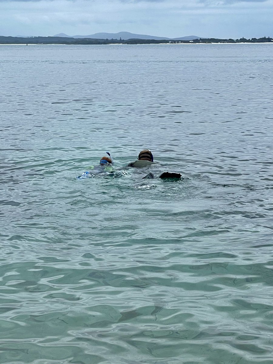 Joel Williams tweet media