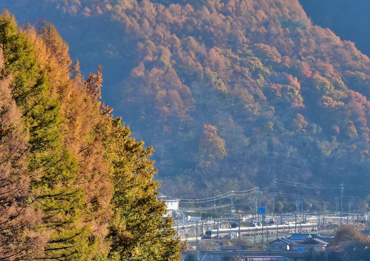 noksant's tweet photo. 木曽路の秋🍂 https://t.co/mFezH5Tp28