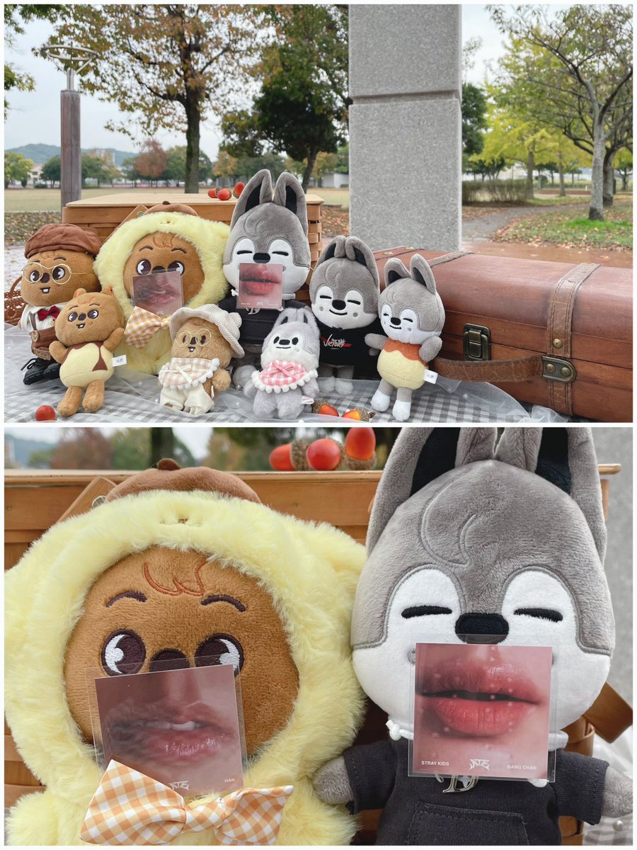 mypace_1003's tweet photo. みさと🐿とピクニック雨天決行🤗🩶
みさと🧁🍪私🥪で役割分担🤝
もはやZOOのピクニック🤣w

参戦服買いに行ってエフェクト大会で大爆笑してたくさん話せて幸福感🫶
みさとありがと〜( ∩  ᷇ᵕ  ᷆ )⊃ ⌒💓 https://t.co/1BpFDbBFGi