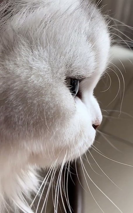 ใช่เลยน้องดงนิ