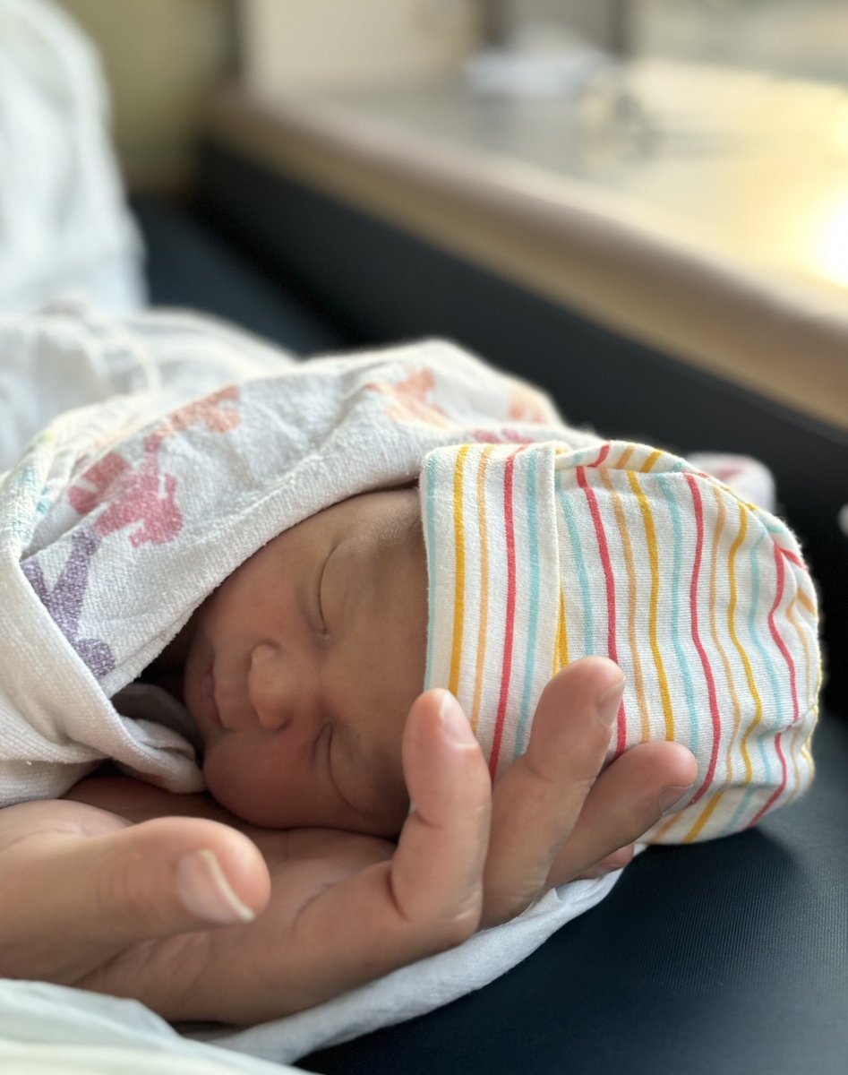 seemay chou tweet media