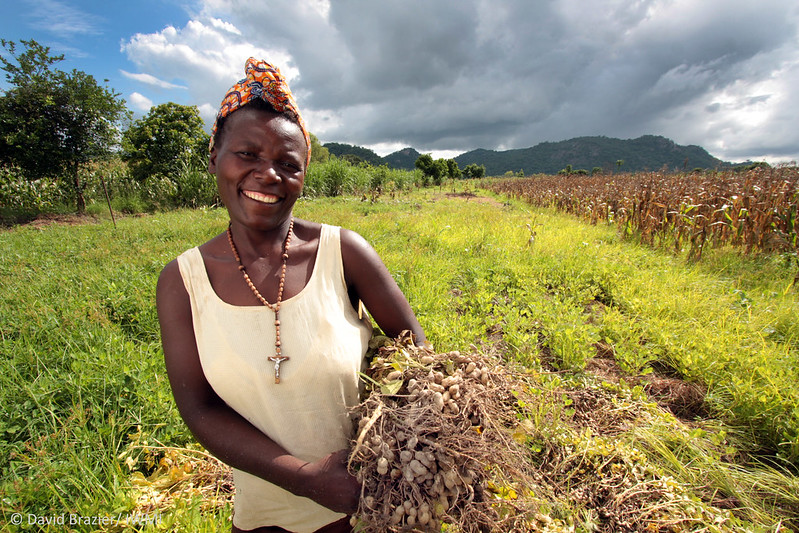 CGIAR GENDER (@cgiargender) on Twitter photo <a href="/CGIARclimate/">CGIAR | Climate Impact Platform</a> and <a href="/CGIARgender/">CGIAR GENDER</a> recently held a 'Science Cafe' with <a href="/MeshaScience/">MESHA Science</a> on the road to #COP29 <a href="/COP29_AZ/">COP29 Azerbaijan</a>
Read from <a href="/nchanjieileen/">Dr Eileen Nchanji</a> on why Africa should prioritize gender-responsive climate solutions: gender.cgiar.org/news/why-afric… <a href="/CGIAR/">CGIAR</a>
Article by <a href="/TemwaMh1/">Temwa Mhone</a>. <a href="/CGIARclimate/">CGIAR | Climate Impact Platform</a> and <a href="/CGIARgender/">CGIAR GENDER</a> recently held a 'Science Cafe' with <a href="/MeshaScience/">MESHA Science</a> on the road to #COP29 <a href="/COP29_AZ/">COP29 Azerbaijan</a>
Read from <a href="/nchanjieileen/">Dr Eileen Nchanji</a> on why Africa should prioritize gender-responsive climate solutions: gender.cgiar.org/news/why-afric… <a href="/CGIAR/">CGIAR</a>
Article by <a href="/TemwaMh1/">Temwa Mhone</a>.