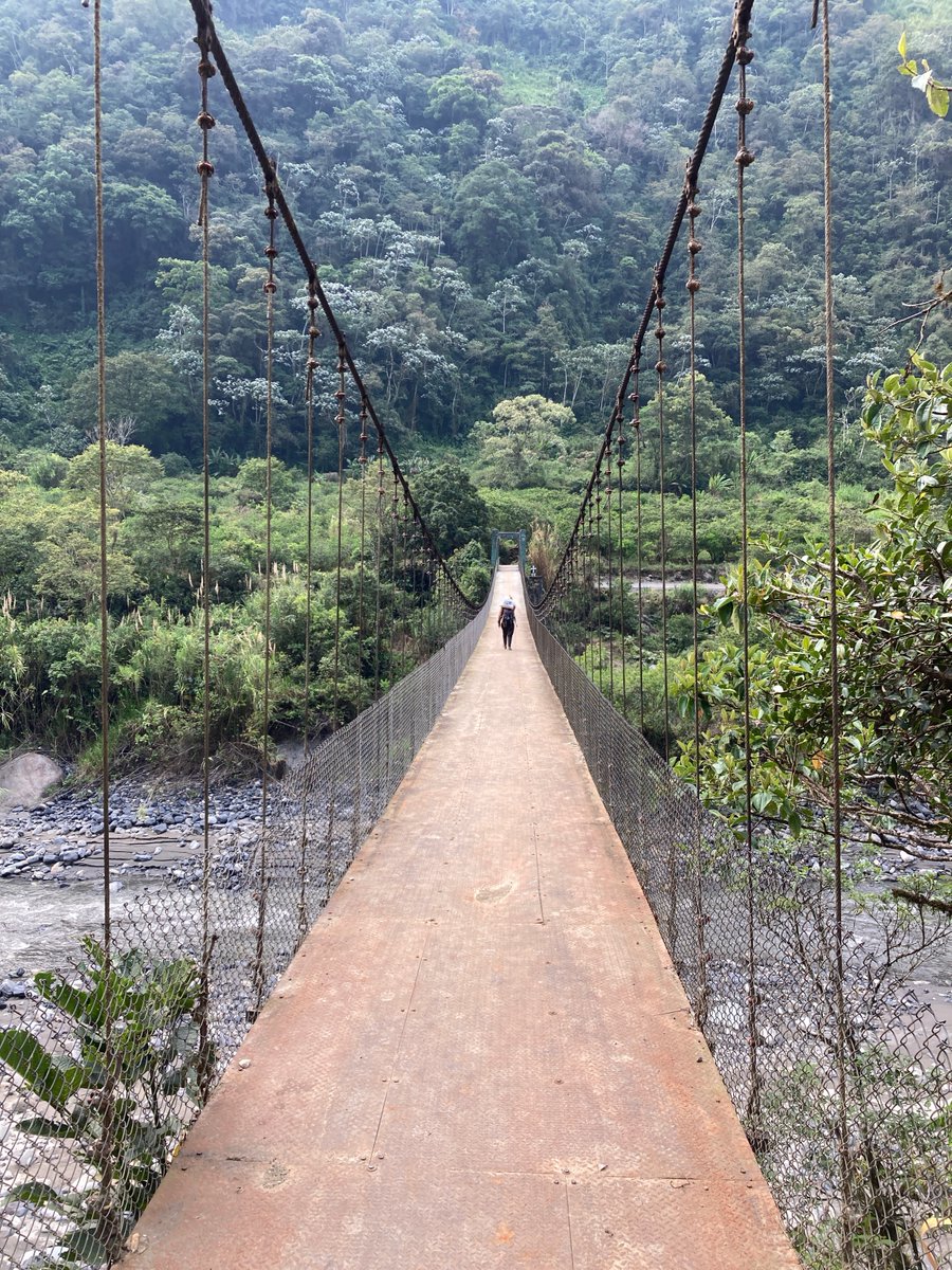 Caterino Arthropod Biodiversity Lab tweet media