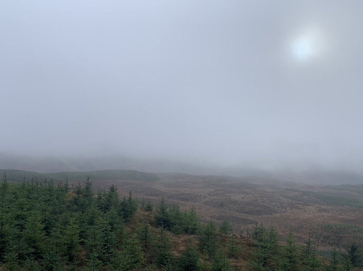 Sums this week’s surveying up - a glimmer of hope but ultimately not realised. Grim at times. Quite a lot of times actually.