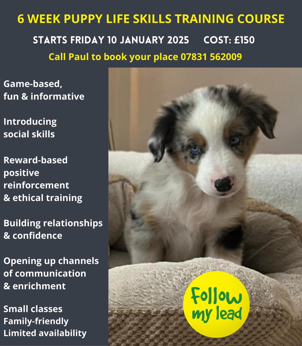 fmldogtraining's tweet photo. 🟡 New Year, New Puppy - Have you recently brought home a new puppy, like to join our first of year popular six week puppy life skills training course starting 10th January 2025 - Don’t miss out - call to register…
https://t.co/YDH0tk4HaA https://t.co/Se4VAm5qtr