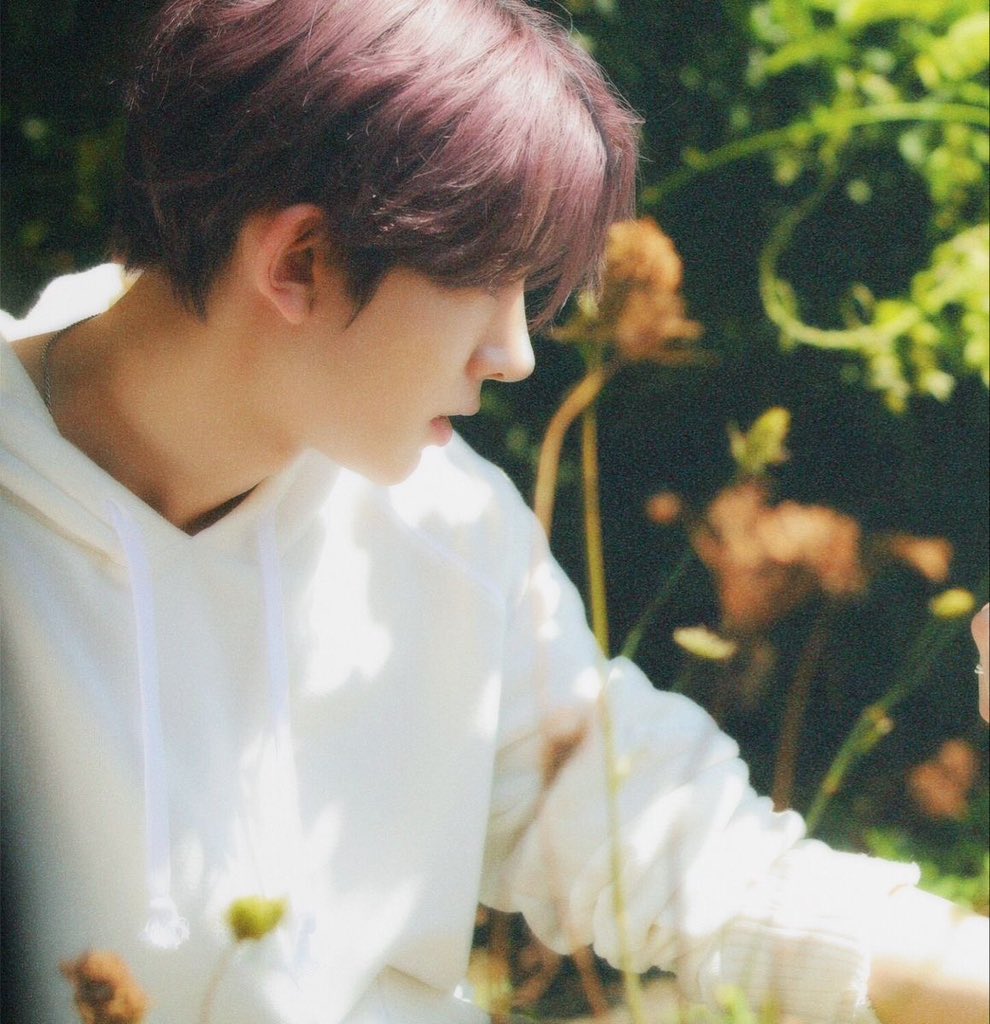 𝓨lla. tweet media