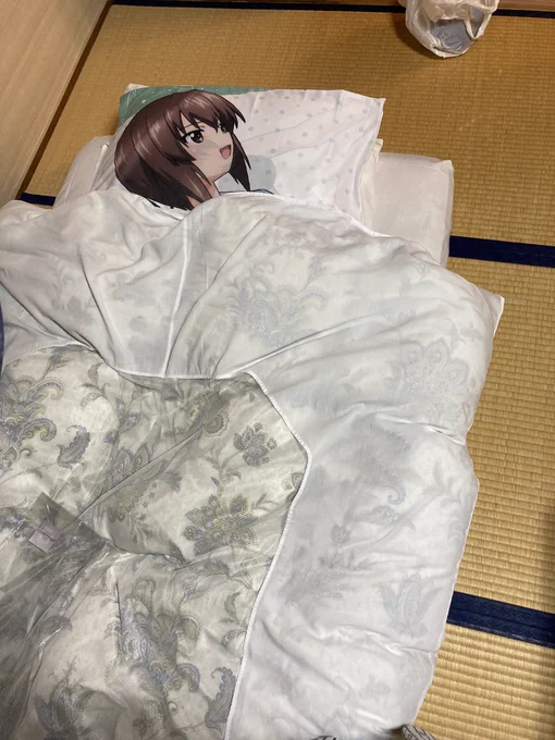 この為だけにギャラリーでおねえちゃん枕カバー買ってきた 