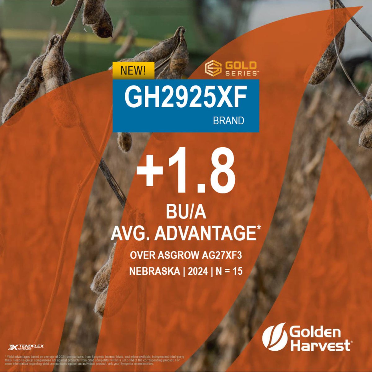 Golden Harvest Seeds tweet media