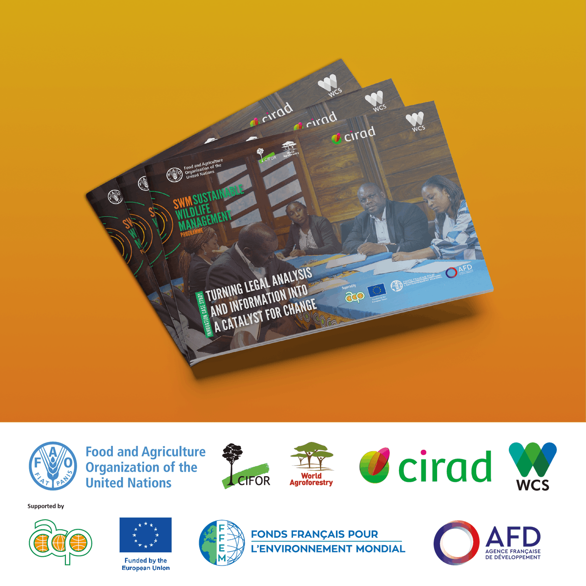FAO Forestry (@faoforestry) on Twitter photo Read a Sustainable Wildlife Management Programme innovation case study
Turning legal analysis & information into a catalyst for change
👉 ow.ly/LjFA50SGy16
#SWMProgramme
@EUdeleg_Rome <a href="/FFEM_Fr/">Fonds français pour l'environnement mondial (FFEM)</a> <a href="/PressACP/">OACPS Secretariat</a> <a href="/AFD_France/">Agence Française de #Développement (AFD) 🇫🇷 🇪🇺</a> <a href="/FAOBrussels/">FAO Brussels</a> <a href="/Cirad/">Cirad</a> <a href="/CIFOR/">CIFOR</a>-ICRAF <a href="/TheWCS/">WCS</a> Read a Sustainable Wildlife Management Programme innovation case study
Turning legal analysis & information into a catalyst for change
👉 ow.ly/LjFA50SGy16
#SWMProgramme
@EUdeleg_Rome <a href="/FFEM_Fr/">Fonds français pour l'environnement mondial (FFEM)</a> <a href="/PressACP/">OACPS Secretariat</a> <a href="/AFD_France/">Agence Française de #Développement (AFD) 🇫🇷 🇪🇺</a> <a href="/FAOBrussels/">FAO Brussels</a> <a href="/Cirad/">Cirad</a> <a href="/CIFOR/">CIFOR</a>-ICRAF <a href="/TheWCS/">WCS</a>