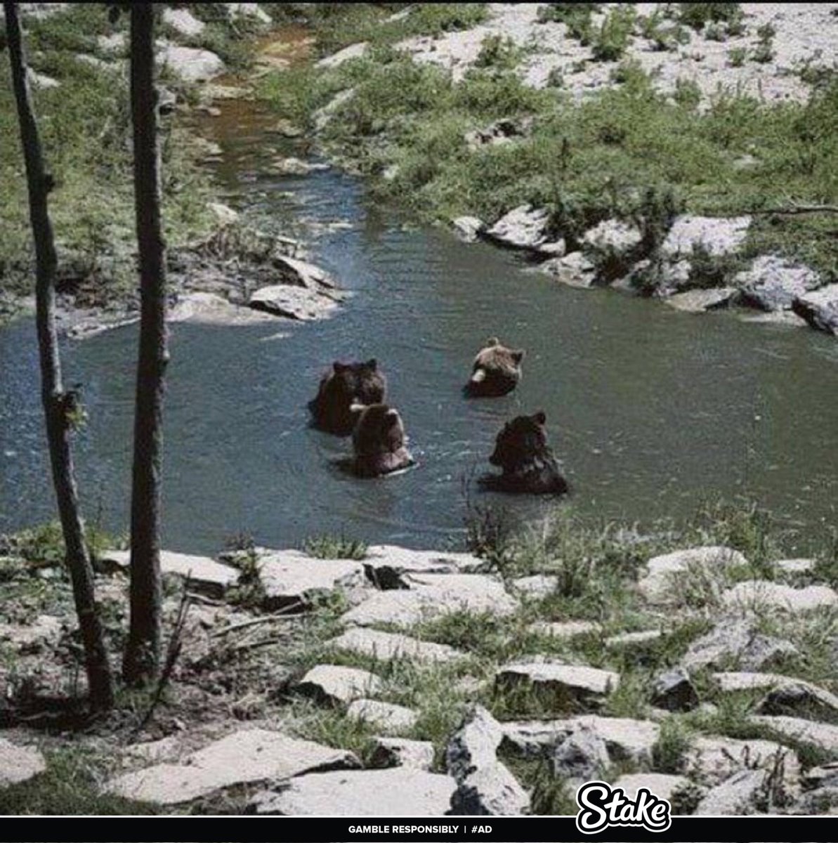 rlevi's tweet image. what do you suppose they are talking about?