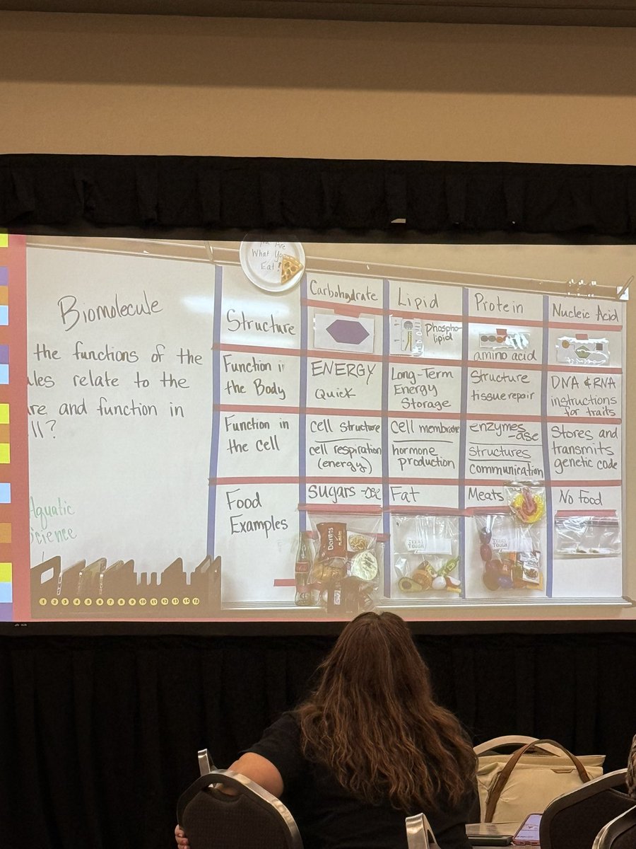 D2:Attending my first CAST session this morning with Dr. Jackson. By incorporating UDL principles into the design and use of interactive word walls, educators can create inclusive and effective learning environments that support the diverse needs of all students. #STATCAST24