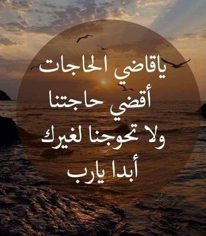 🇪🇬عاشق الروح🇪🇬 tweet media