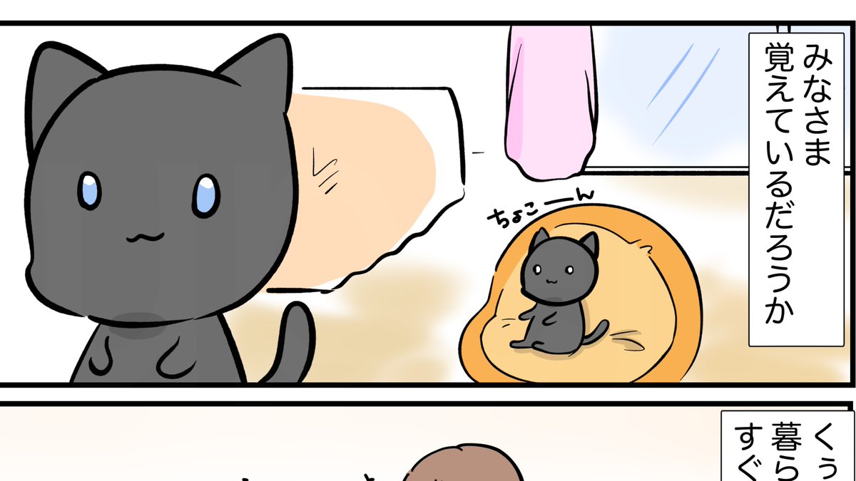 今日はスパダリにゃんこ更新日。
今回の主人公はシオ太郎。
初登場はなんとKindleでも vol.1の方という…。もはや古株も古株なのですが、覚えてる方いらっしゃるでしょうか?😅
14時すぎにアップします⤴️。
