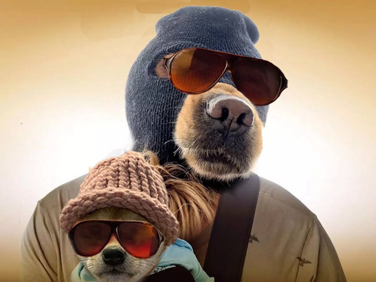 <a href="/dogwifcoin/">dogwifcoin</a> hat stays on x mask stays on