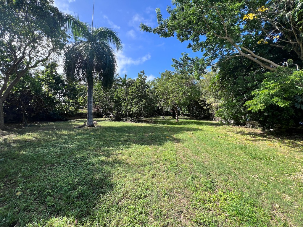 JUST LISTED❗️
Situated in one of Nassau's busiest districts, this commercial property on Soldier Road offers an ideal setting for a strip mall or plaza!

0.88 ACRES
Listing Price: 🏷️$675,000
Listing Agent: Brian Austin

Learn more: l8r.it/VDdy