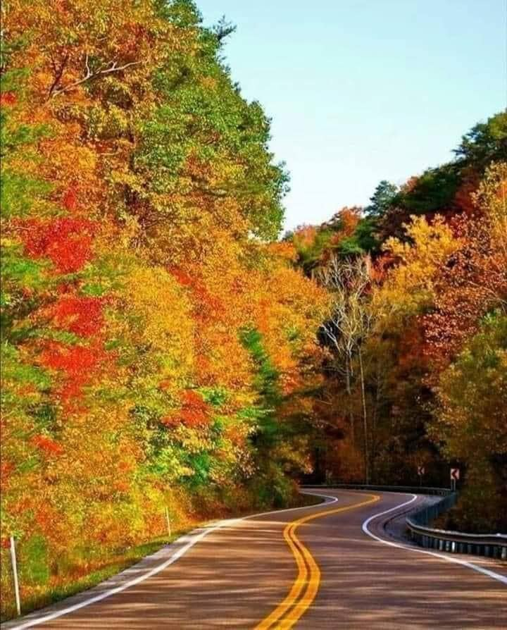 oekiskiniyor's tweet photo. 🍂🍁 Sonbahar en çok sana yakışıyor. #Kastamonu https://t.co/jD9f9azL97