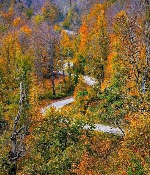 oekiskiniyor's tweet photo. 🍂🍁 Sonbahar en çok sana yakışıyor. #Kastamonu https://t.co/jD9f9azL97