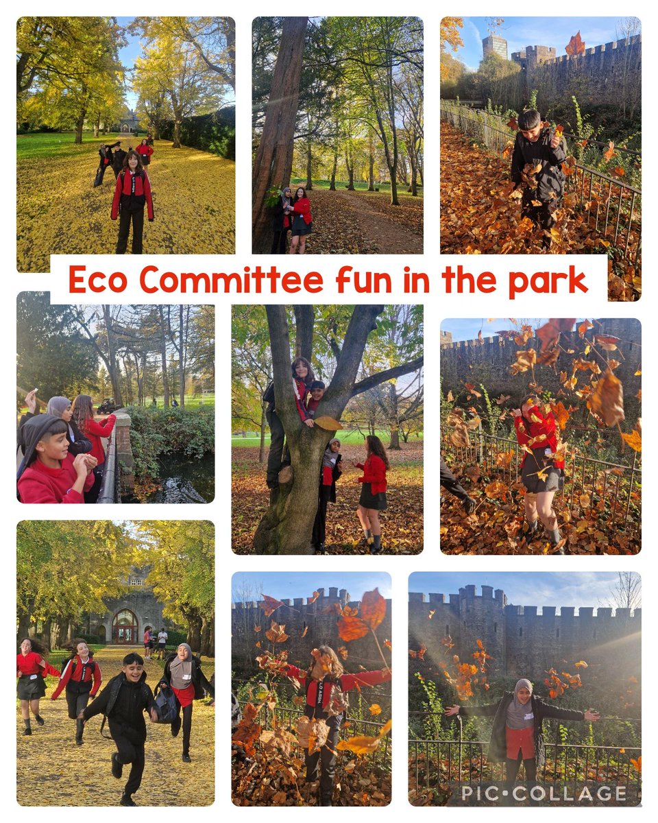 Eveswell Primary tweet media