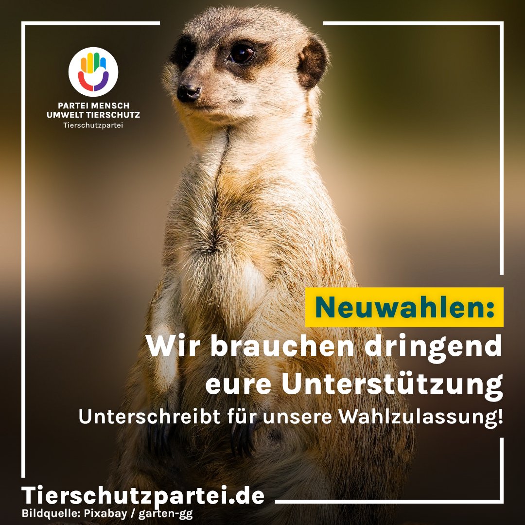 PARTEI MENSCH KLIMA TIERSCHUTZ - Tierschutzpartei tweet media