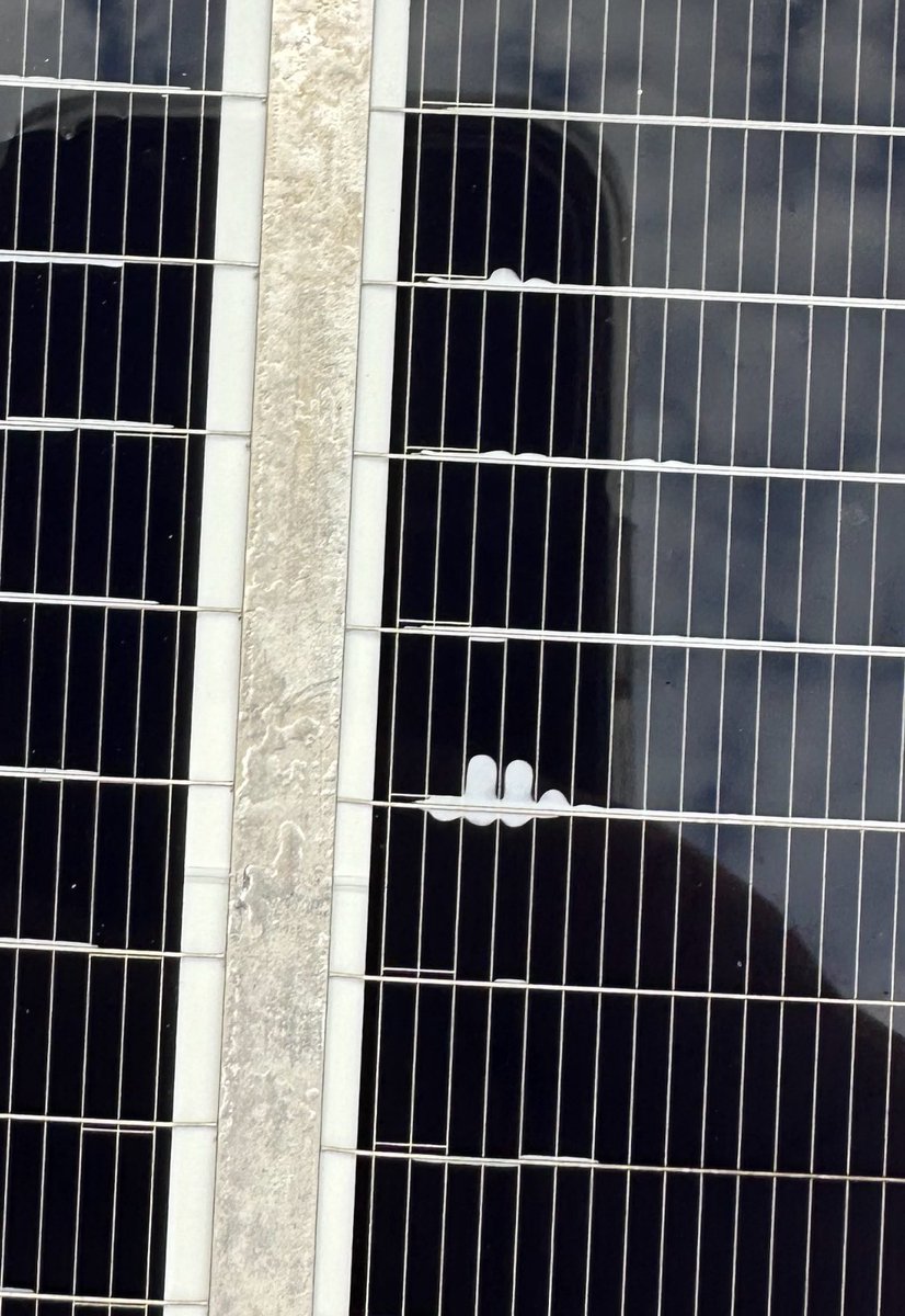 Michael Bähni tweet media