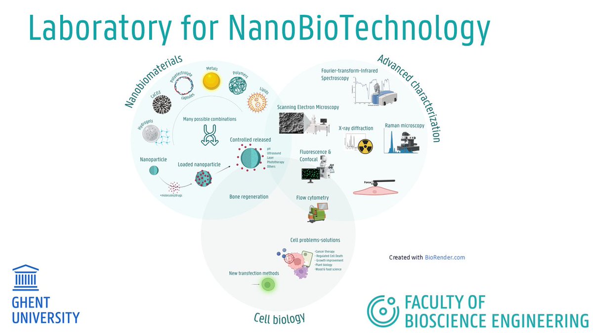 MoBi_UGent's tweet image. The final MoBi group we introduce is #NanoBioTechnology that focuses on synthesis & characterization of innovative #nanobiomaterials, providing solutions to various biological & technological challenges. We also explore cell characterization, transfection & vaccination methods.