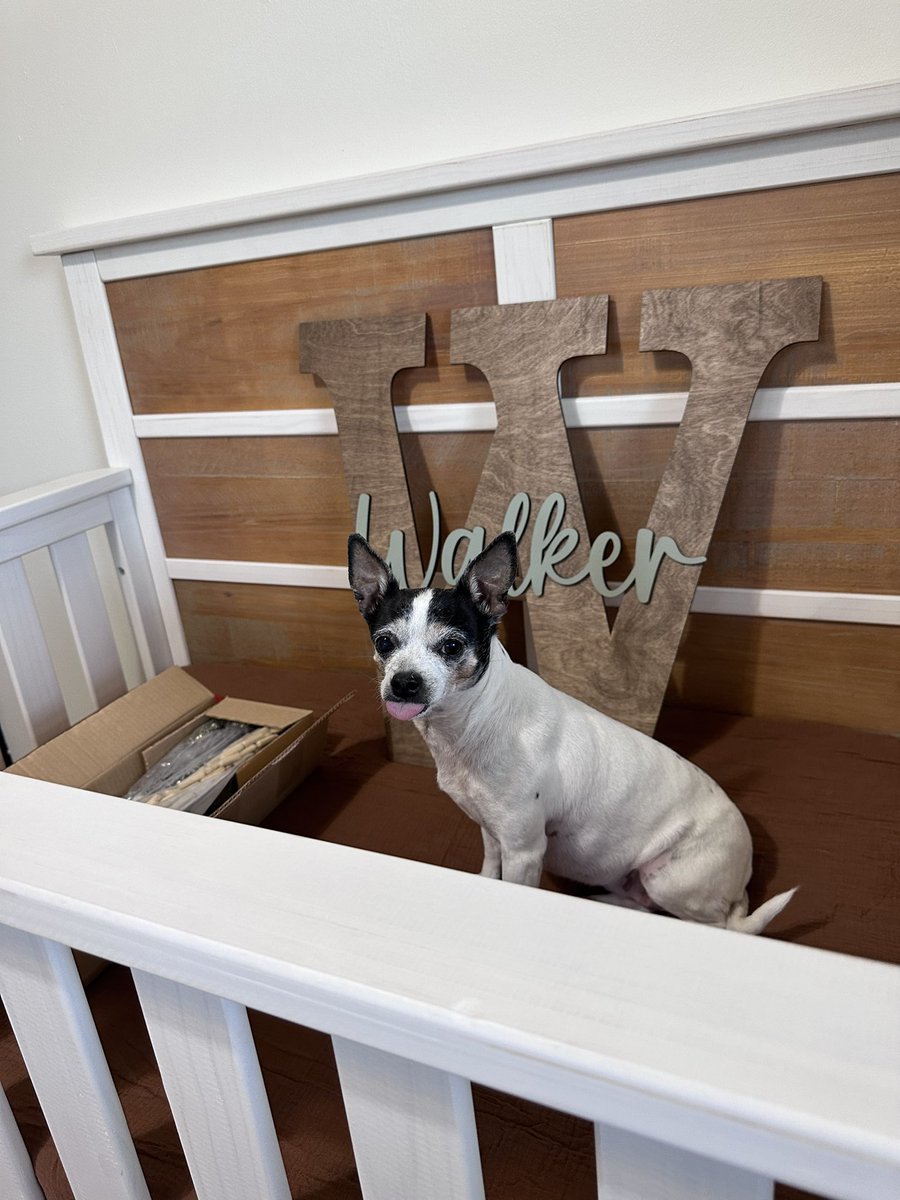 Happy 12th birthday to my Blaire Rad 🖤🐾