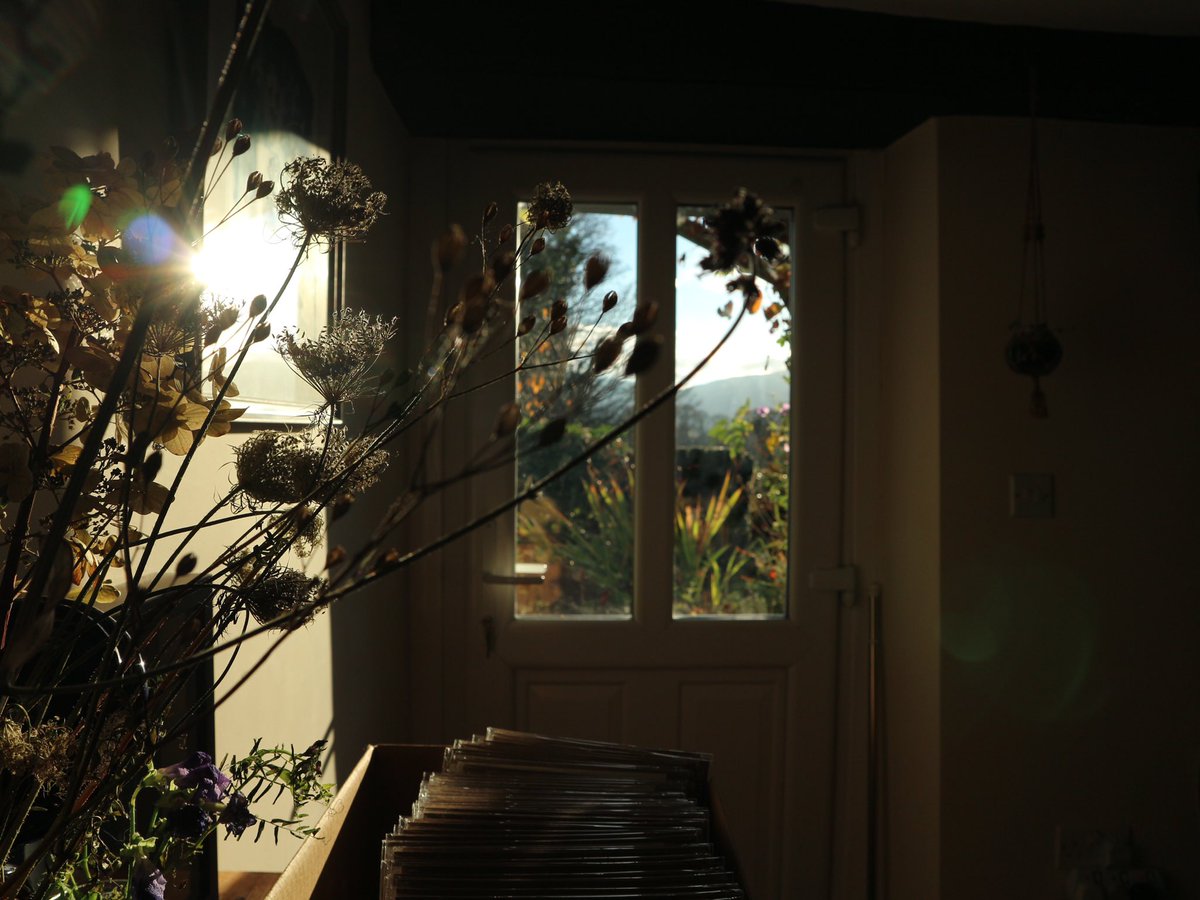 Witchmountain tweet media