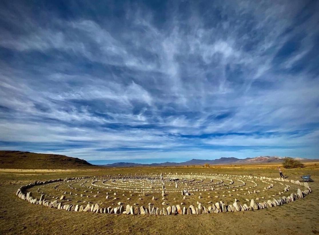 Will Roger tweet media