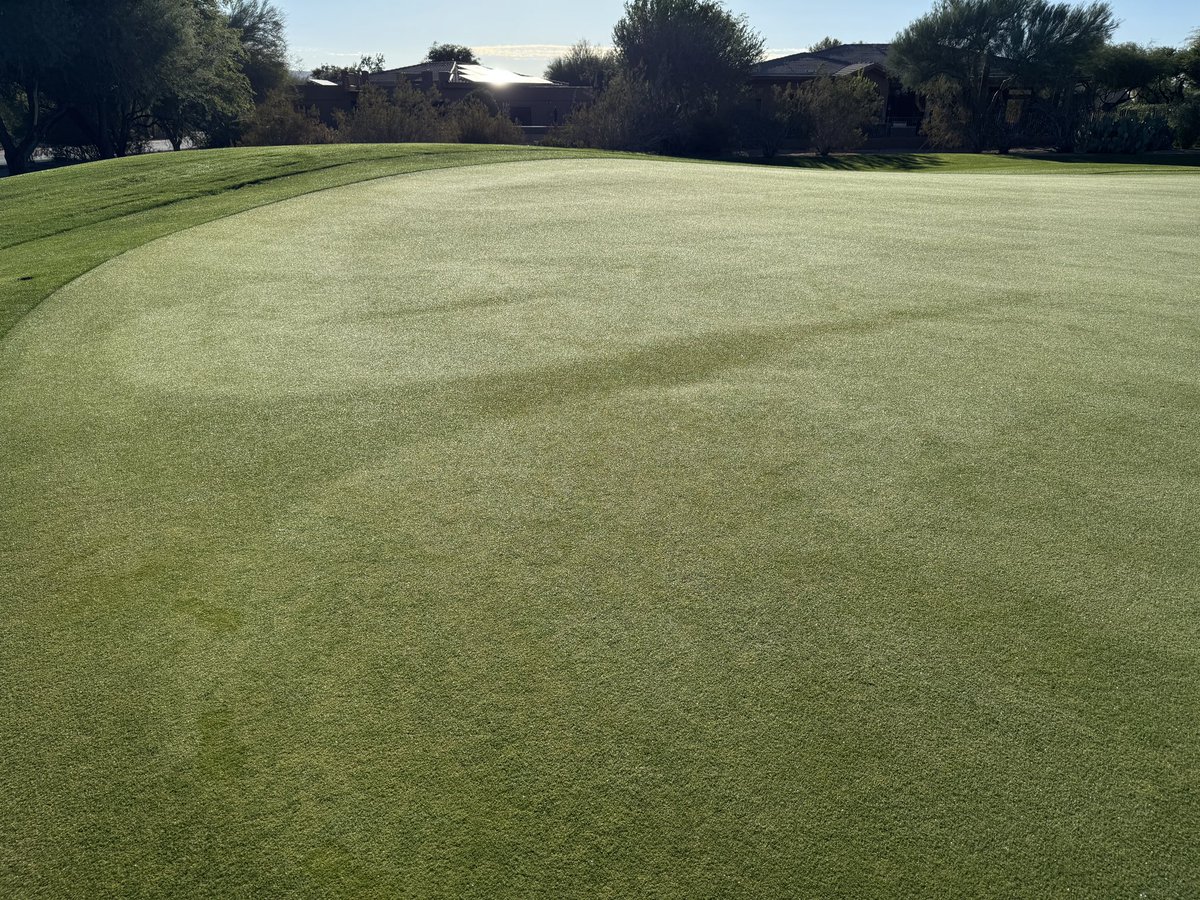 Travis Blamires tweet media