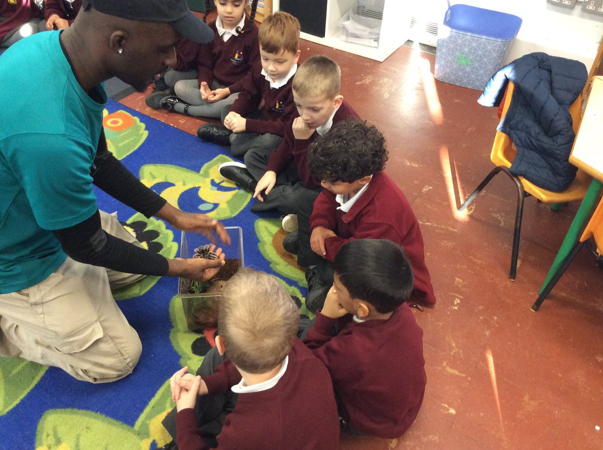 MountStewartSch's tweet photo. This week in Coral Class we were so lucky to have #ZooLab in to help us develop our understanding of categorising different animals. ๐ท๏ธ๐๐ชณ๐๐ธ
We had so much fun observing and learning new facts about lots of different insects and animals.
#tmssyearone #tmssyear1 #tmssscience https://t.co/74OrFrrRto