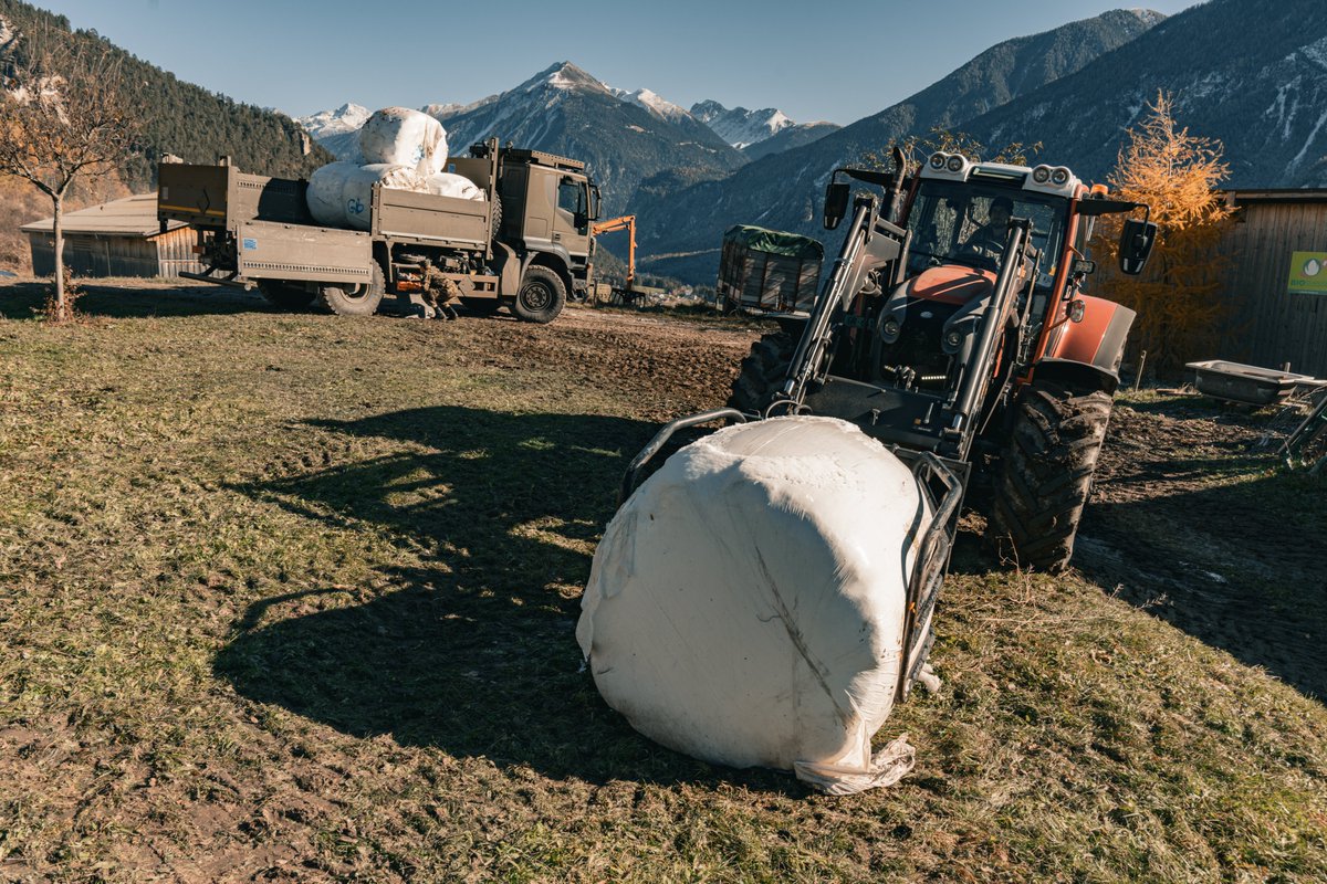 vbs_ddps's tweet photo. Die #Armee kommt Landwirten in @Brienz (GR) zu Hilfe. Angehörige des Panzersappeurbataillons 11 helfen ihnen mit acht Lastwagen, das Futter für ihre Tiere abzutransportieren. Die Spontanhilfe der Armee erfolgt auf Ersuchen der zivilen Behörden. https://t.co/TJ4FVJZyiD