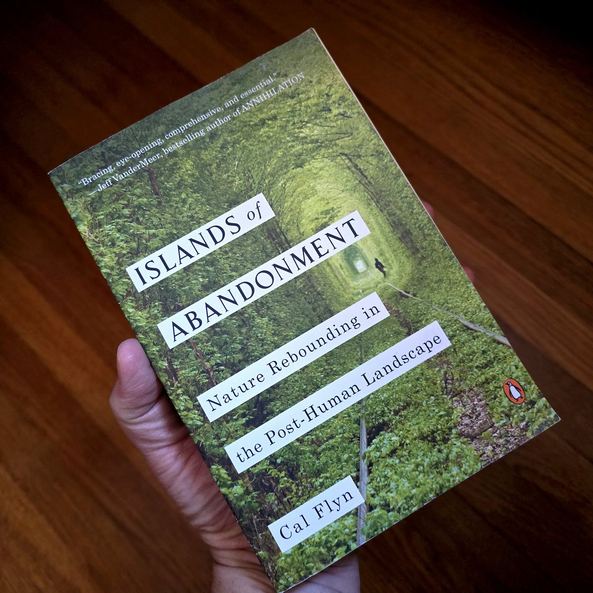 𝕞𝕒𝕥𝕥𝕙𝕖𝕨 𝕣𝕖𝕖𝕕 𝕓𝕒𝕜𝕖𝕣🤘😇🤘 tweet media