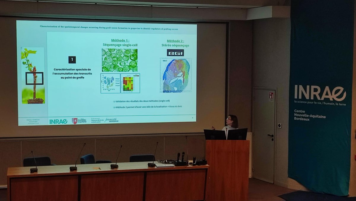 J'ai eu l'opportunité hier de présenter notre plan d'action pour la thèse que je viens de commencer aux "Journées du groupe vigne du département BAP". Sur la caractérisation des modifications spatio-temporelles intervenant lors de la formation du point de greffe".