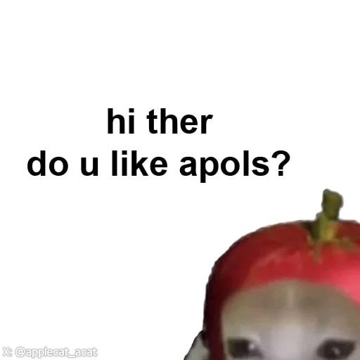 Apple Cat 🍎🐱 tweet media
