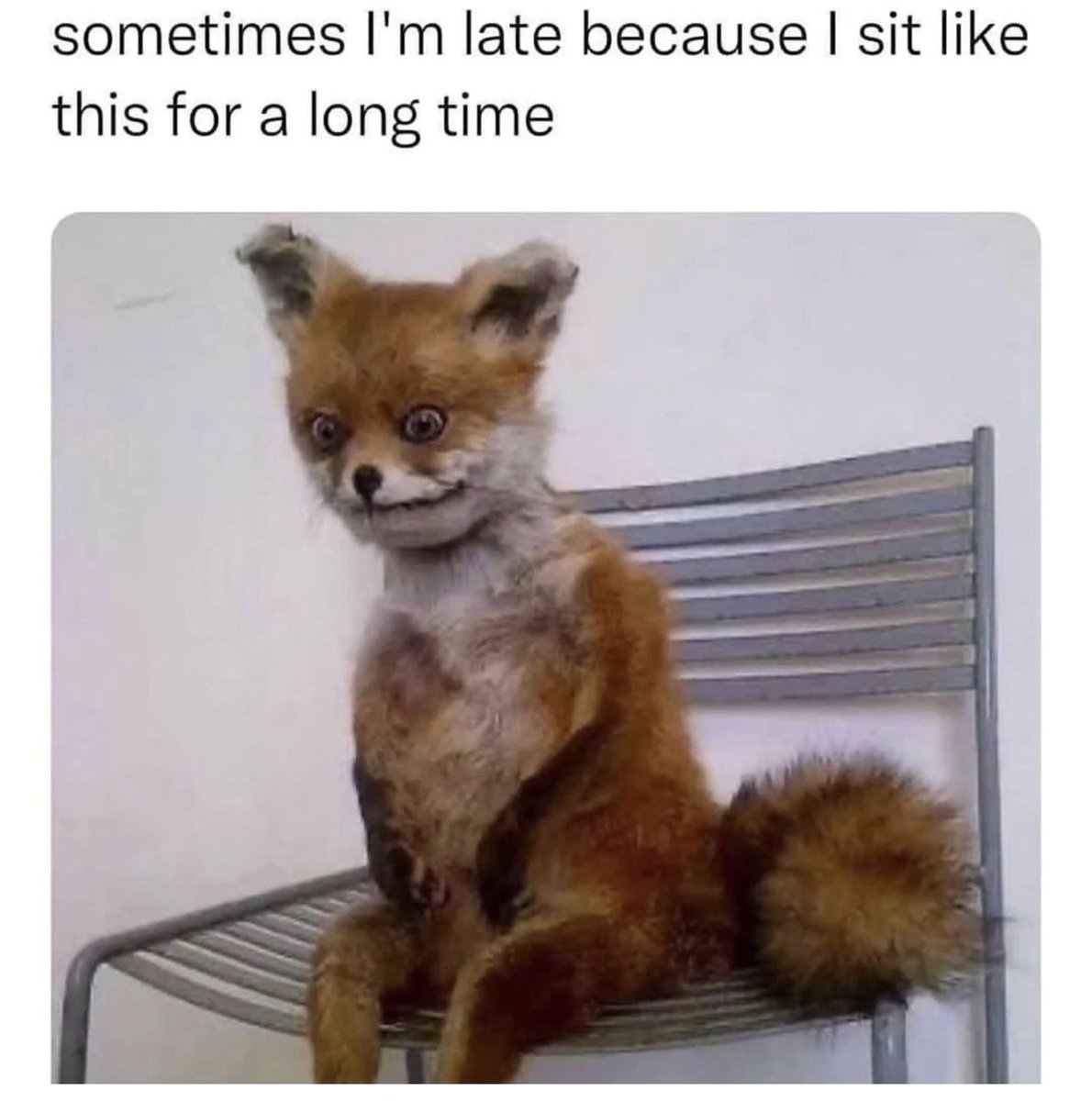 isabelle (@isabellepretend) on Twitter photo 