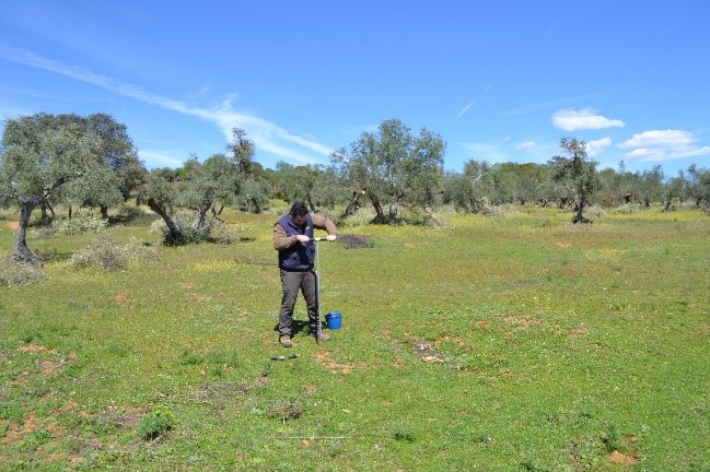 soilxchange's tweet image. 🇪🇸Our #soilxchange partner AMBIENTA is promoting a soil health network in Spain, currently comprised of 10 operational groups. So far, 2 meetings have been held, in July and October 2024, and a major Soil Forum is being planned. #SoilHealth #SustainableAgriculture
🇪🇺Funded by EU