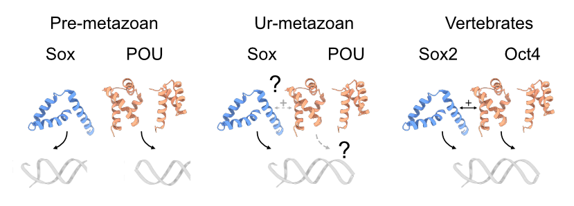 Mathias Girbig tweet media