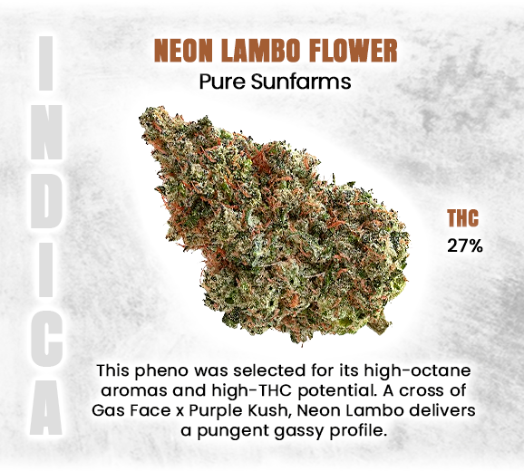 Social_GrandCan's tweet photo. *Informational Purposes*
#NeonLambo #PureSunfarms #HighQualityCannabis #TopShelfWeed #CannabisCulture #ChillVibesOnly #LuxuryLifestyles #GreenDream #CannabisCanada #WeedLovers #420Community #CannabisLife #BrightLightsHighLife #PureJoyPureSunfarms #LamboLifestyle #GrandCannabis https://t.co/A7MLS1eYdF