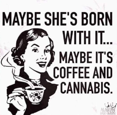 AwesmumTTV's tweet photo. It's Friday we made it!!!! Really need it to be a chill day, this week has been a tad overwhelming. #420community #Friday #SuckLessDoBetter https://t.co/m9ntV7xGbz