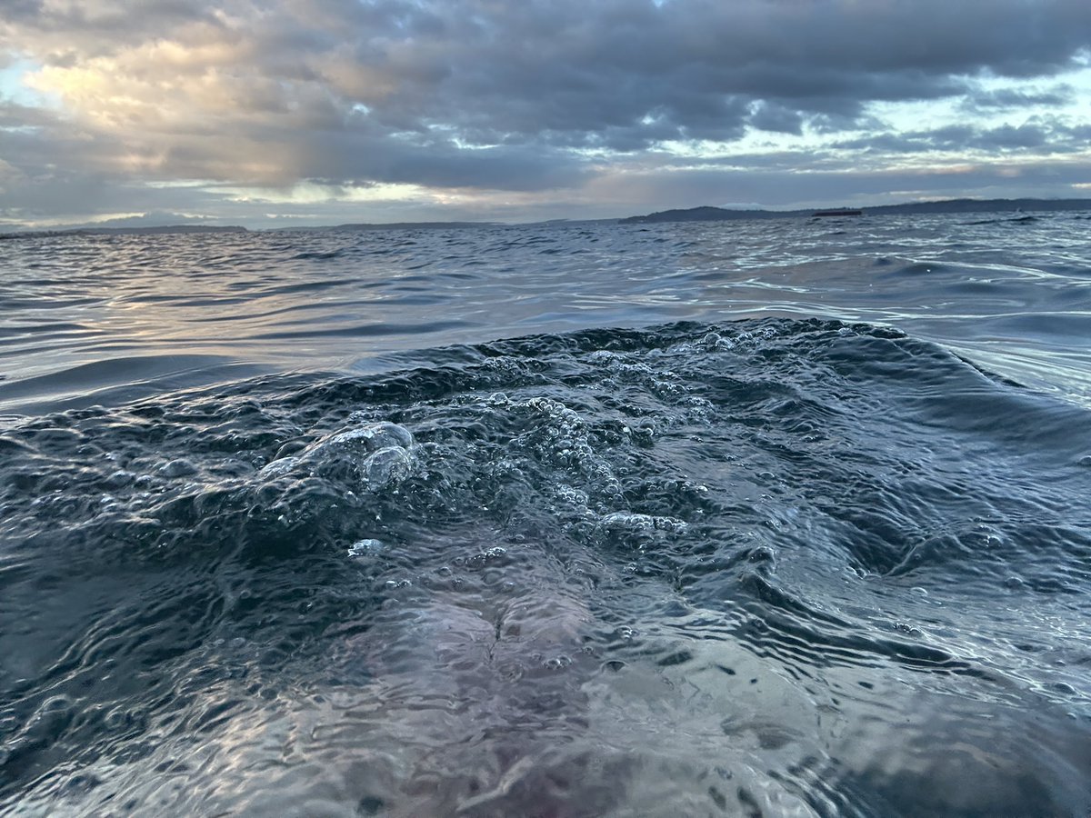 Peter Noble tweet media