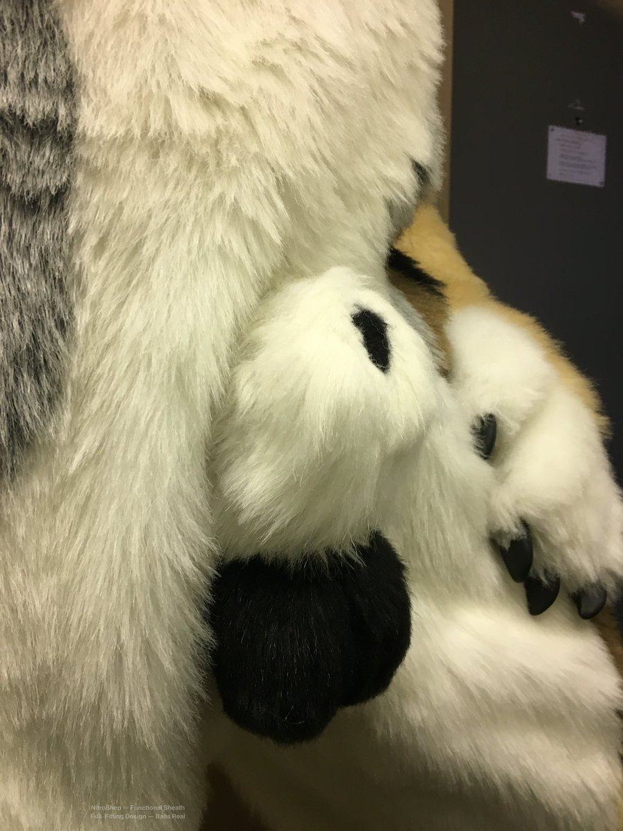 Nitro Sheef 🔞🔜 𝗙𝗪𝗔 tweet media