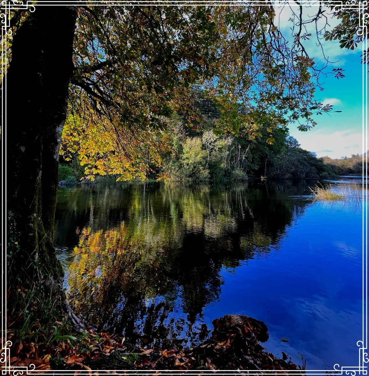FR_Films's tweet image. Throwing it back to a travel shoot in Ireland, where every castle and whisper of wind told a story of its own. It’s these unforgettable moments that keep us passionate about what we do. Ireland will always have our hearts… @TourismIreland @CatieKeogh  #ireland #travelphotos