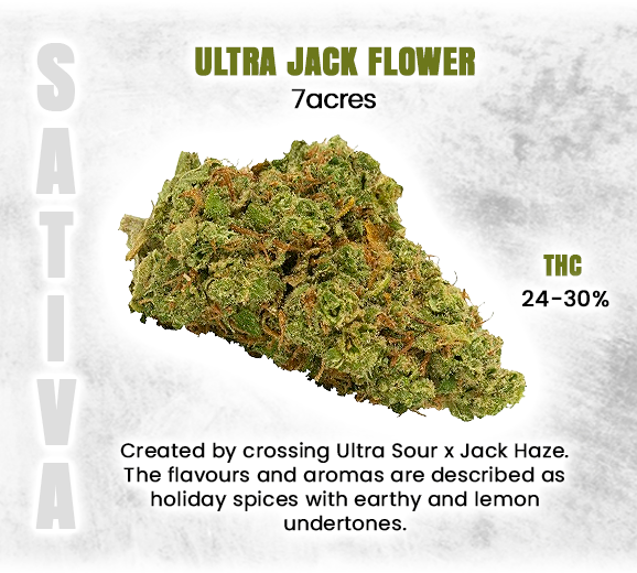 Social_GrandCan's tweet photo. *Informational Purposes*
#UltraJack #7Acres #SativaVibes #CanadianCannabis #PremiumFlower #SativaDominant #CannabisCulture #CannabisCommunity #HighQualityCannabis #UltraJackExperience #7AcresCannabis #ElevateYourHigh #420Lifestyle #CannabisCanada #CraftCannabis #GrandCannabis https://t.co/6WN9pCrKeu